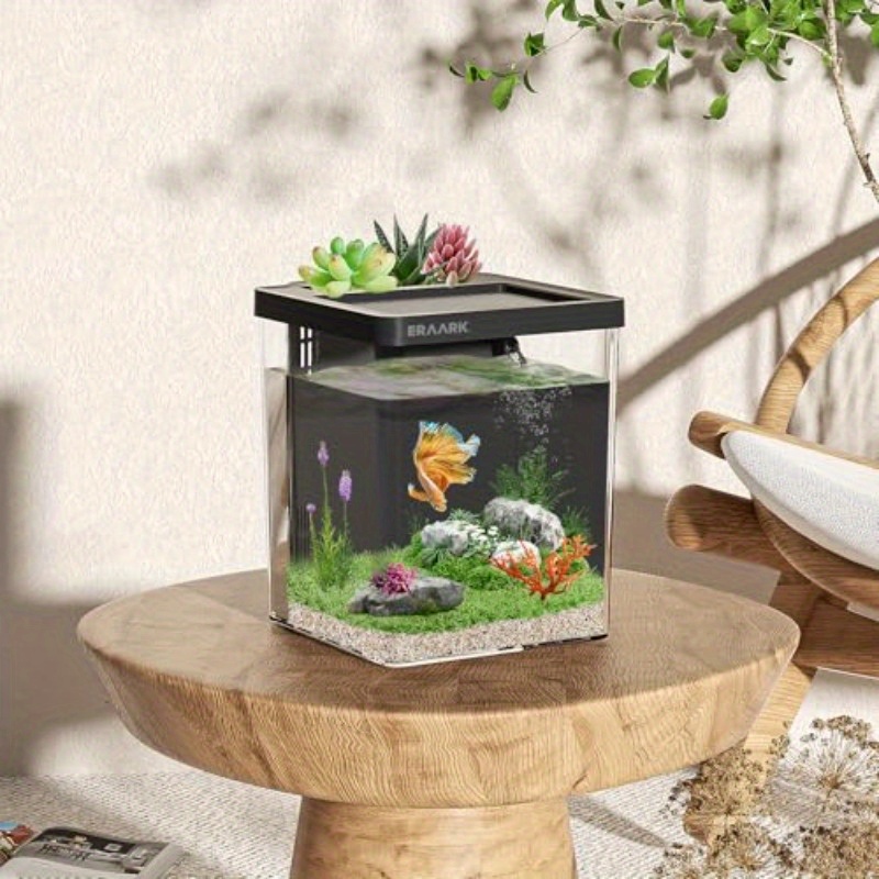 Office/Home Desktop Aquarium W - Betta Fish Tank ulasan dan harga