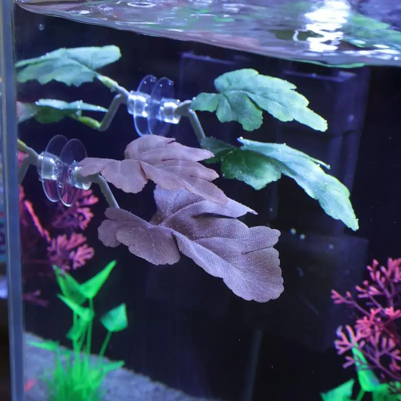 Betta Fish Leaf Hammock Aquari - Aquarium Fish Betta ulasan dan harga