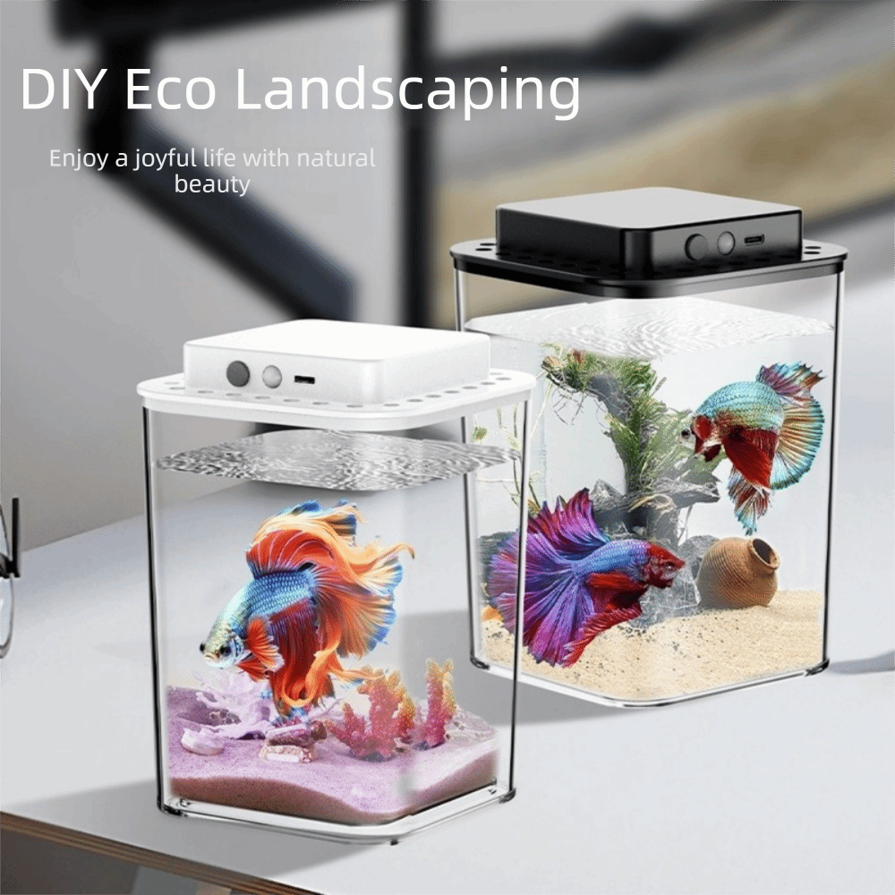 Transparent Betta Fish Tank In - Betta Fish Tank ulasan dan harga