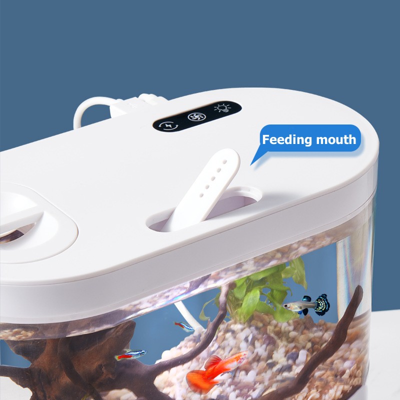 Creative Mini Desktop Fish Tan - Betta Fish Tank ulasan dan harga