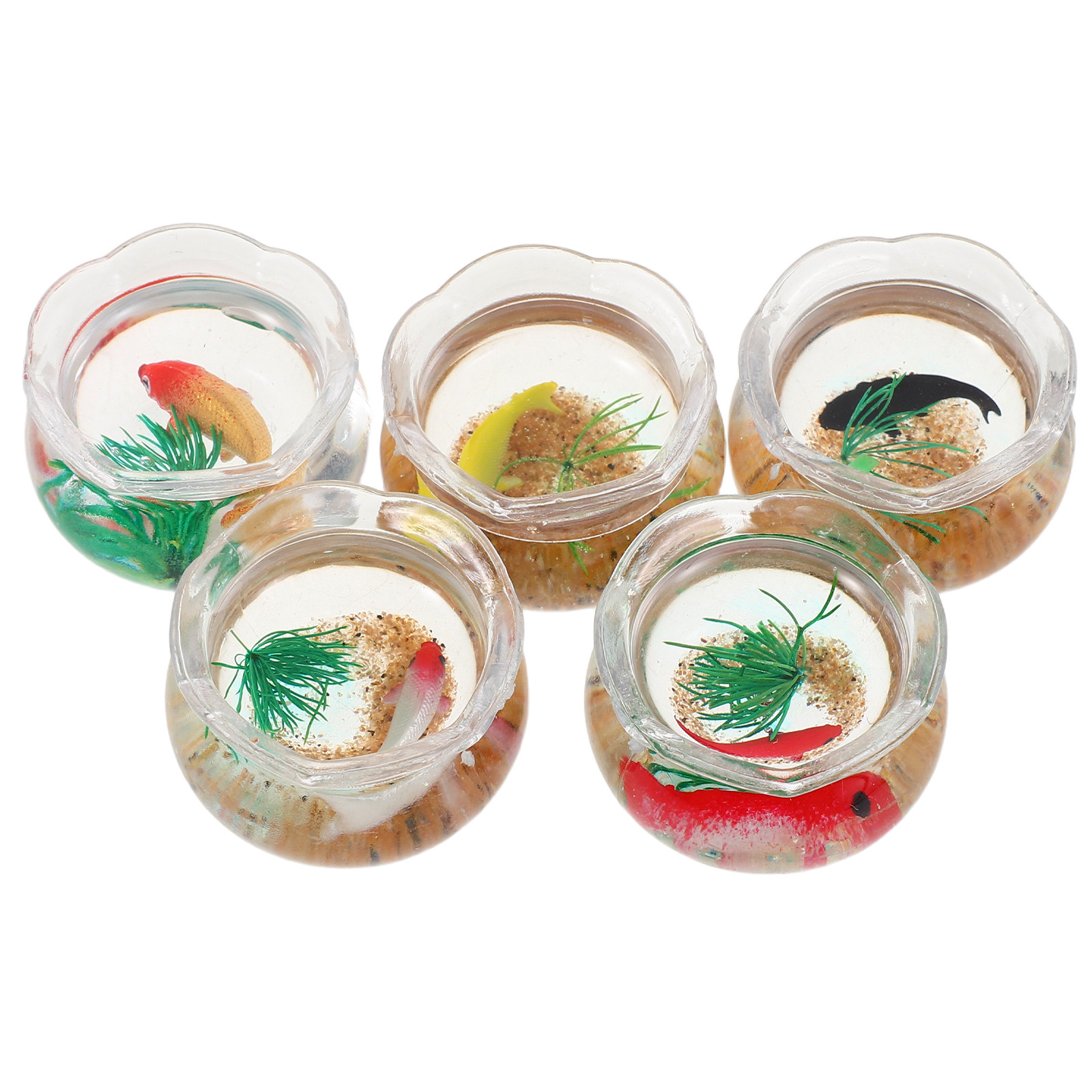5pcs Miniature Koi Fish Tank:  - Aquarium Plants ulasan dan harga